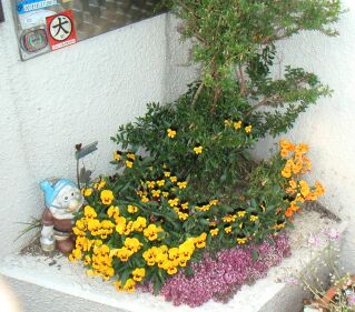 c0037571_9513459.jpg