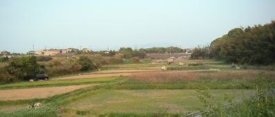 c0037571_9563413.jpg