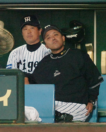 2005年 日本シリーズ 公式球 阪神甲子園 2005年 日本シリーズ 公式球 阪神甲子園 - メルカリ