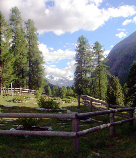 b0038588_21383062.jpg