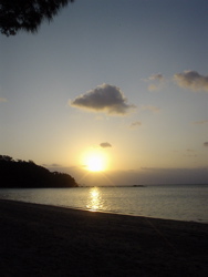 旅ノキロク〜離島へ【4日目】(石垣編)_d0028589_2316123.jpg