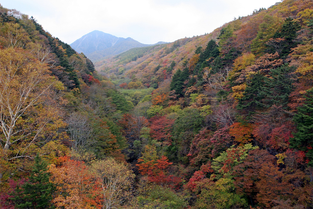 東沢大橋より_a0044695_2152117.jpg