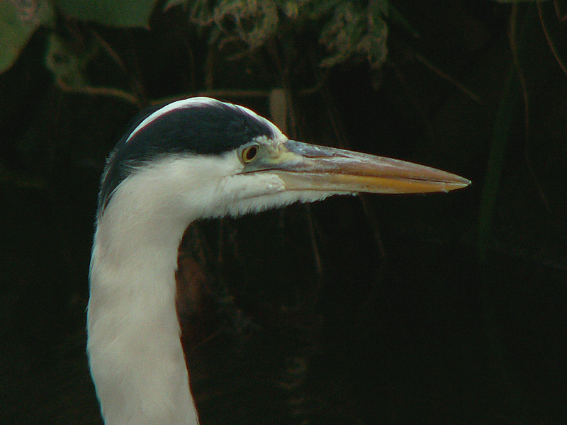 b0024798_6483217.jpg