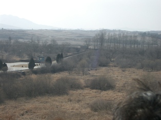 c0010833_23244654.jpg