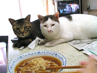 ラーメン食べたい（ｂｙはらへりーず/ヨウカン＆レオ）_a0028451_2135662.jpg