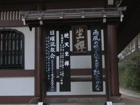 木立越しの月と露にぬれたヒメツルソバ：円覚寺暁天坐禅会_c0014967_1501538.jpg
