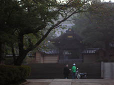 木立越しの月と露にぬれたヒメツルソバ：円覚寺暁天坐禅会_c0014967_1504254.jpg