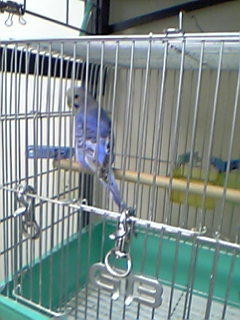 こわいよ～_c0049870_1862939.jpg