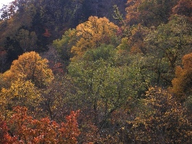 b0068572_21295314.jpg