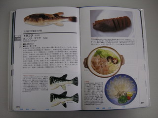 日本の海水魚　（学研）_a0002177_1052284.jpg