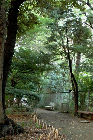 e0017393_22433134.jpg
