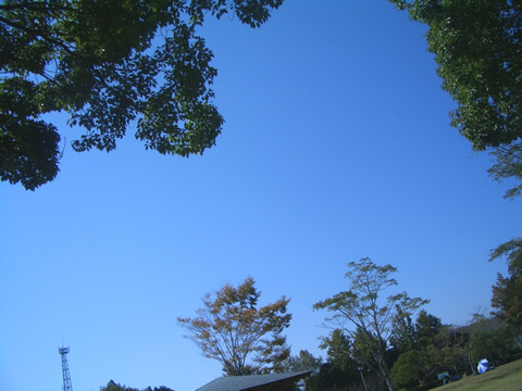b0067598_0473738.jpg
