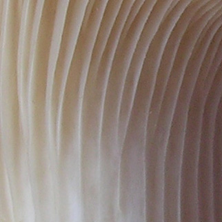 c0006748_18311236.jpg