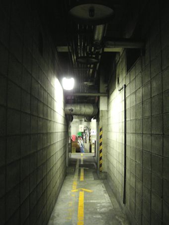 c0069552_0123193.jpg