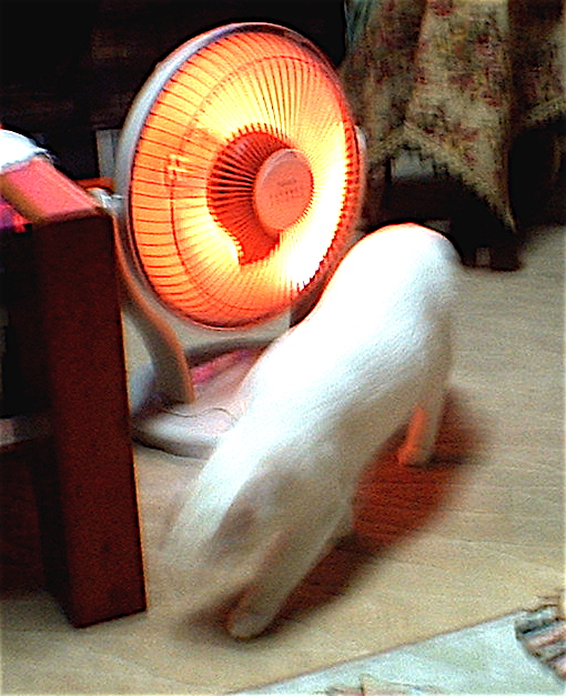 今日の神霊写真 | La vita del Soldato del Sole 