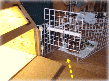 b0055276_1113856.gif