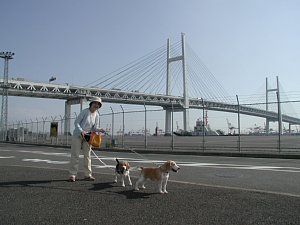 大黒ふ頭中央公園 びーぐる組 blog 大黒ふ頭中央公園 びーぐる組 blog