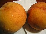 c0064796_35464.jpg