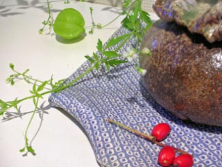 b0069604_21334314.jpg