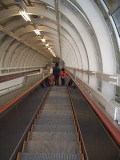 d0050007_2155536.jpg