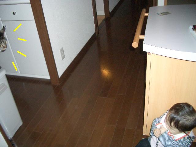 e0094407_2294796.jpg