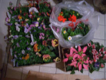 d0014909_0573312.jpg