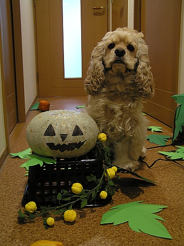 HALLOWEEN　PARTY!!!!_b0067012_2324784.jpg