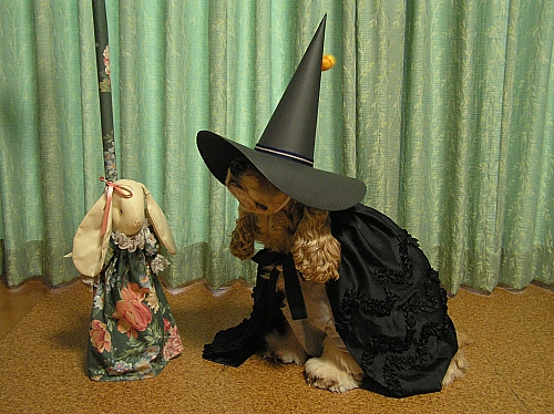 HALLOWEEN　PARTY!!!!_b0067012_2335782.jpg