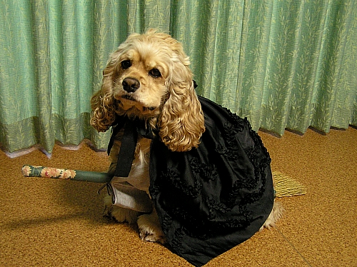 HALLOWEEN　PARTY!!!!_b0067012_2340477.jpg