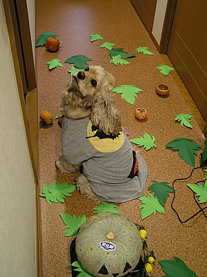 HALLOWEEN　PARTY!!!!_b0067012_2349453.jpg