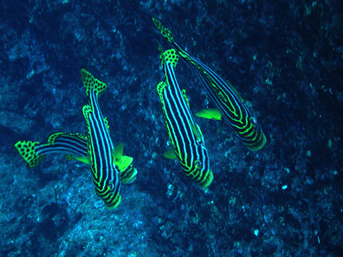 c0024719_10493421.jpg