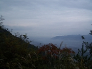 b0008526_20201711.jpg