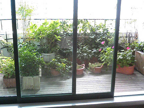b0037434_1742518.jpg