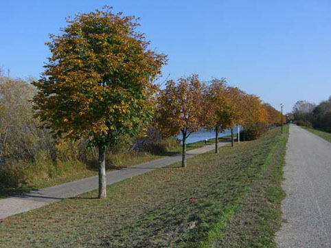 d0029644_17202356.jpg