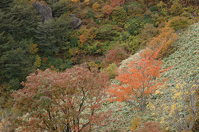 那須の紅葉_a0043755_953156.jpg