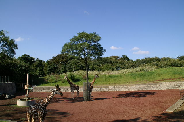 b0024758_1262349.jpg