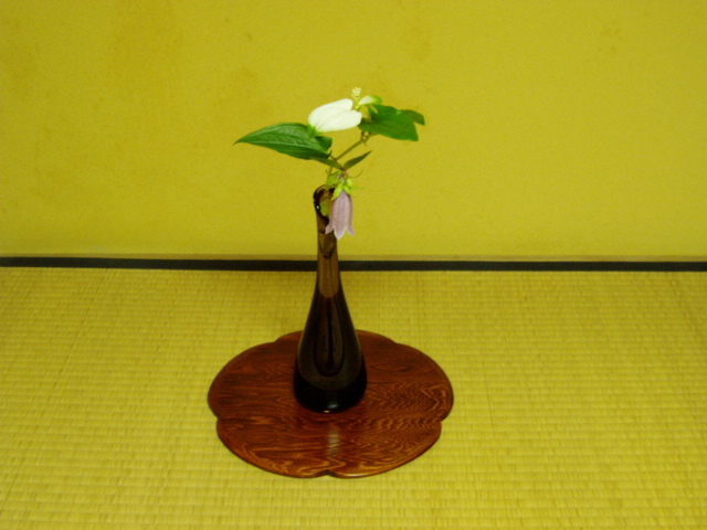 夏の茶花 : 茶室の花