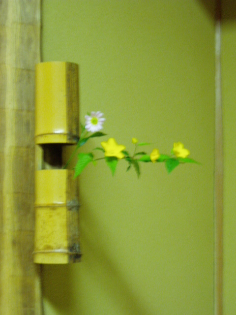 春の茶花 茶室の花