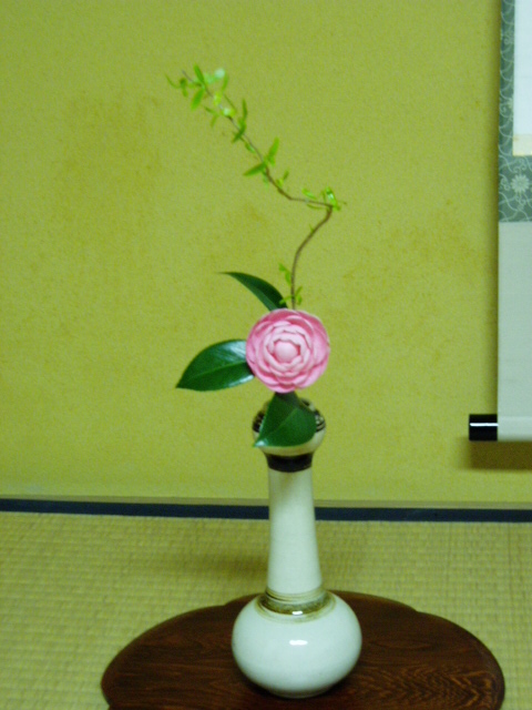 春の茶花 茶室の花
