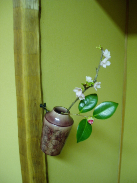 春の茶花 茶室の花