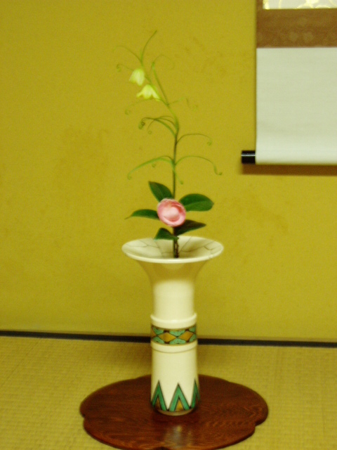 春の茶花 茶室の花