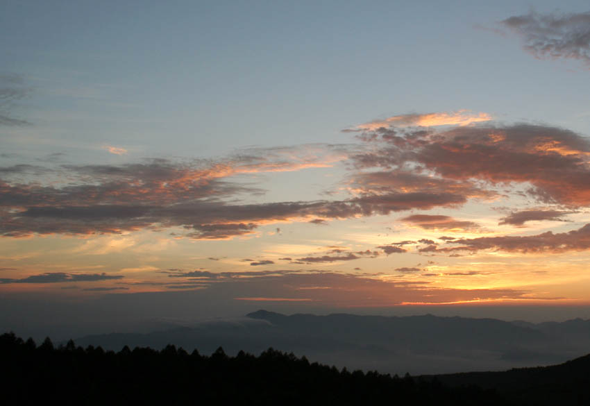 e0047682_183644.jpg