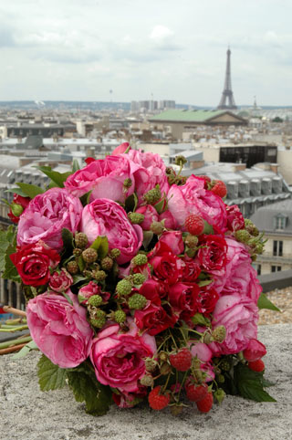 パリからの花束 Vol 12 ありがとう の言葉と パリ Paris カメラマン都筑 清の写真ブログ