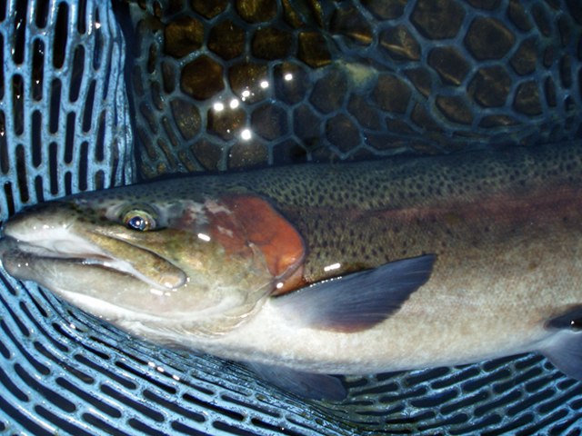 b0031493_00136.jpg