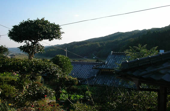 e0064400_1161416.jpg