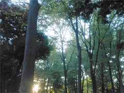 e0067502_2131875.jpg