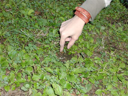 e0067502_225754.jpg