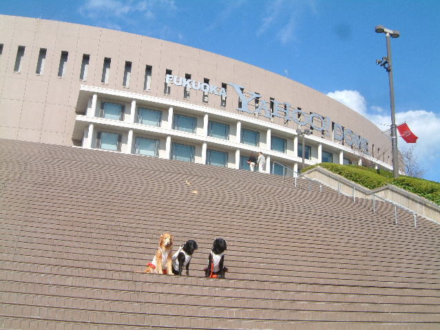 c0017311_8305252.jpg