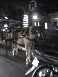 d0038319_942301.gif
