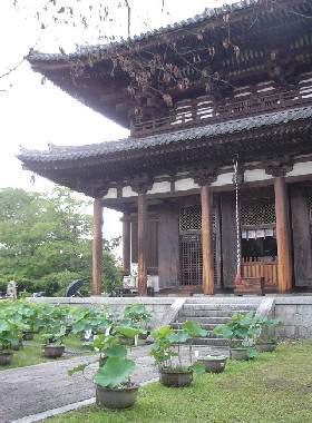 喜光寺_a0053825_23585137.jpg